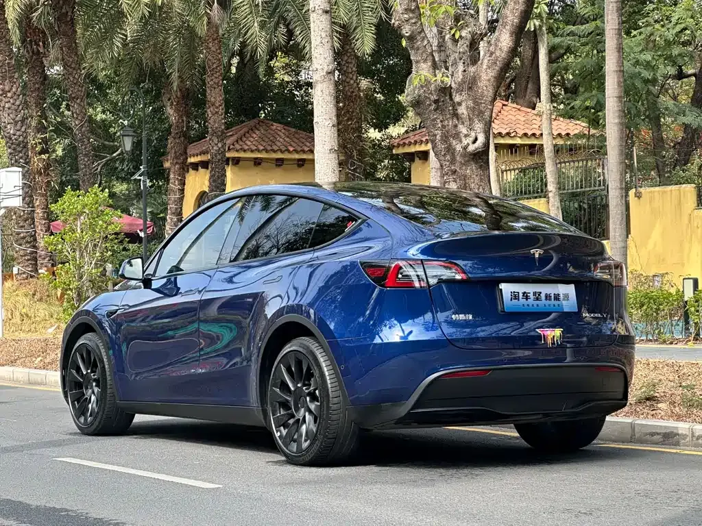 Tesla Model Y — фото 5