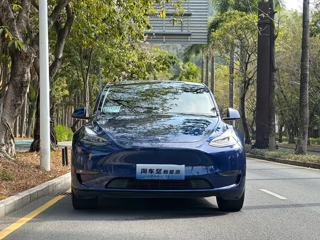 Tesla Model Y — фото 10