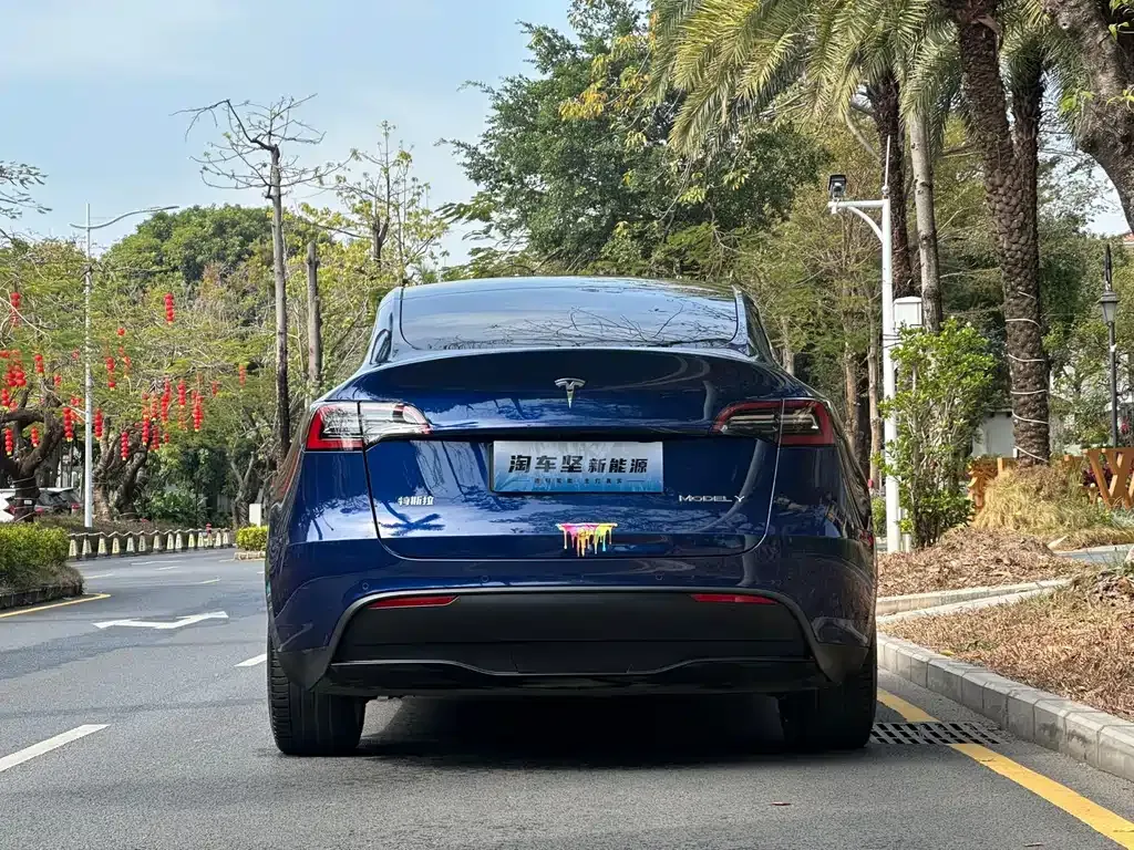 Tesla Model Y — фото 6