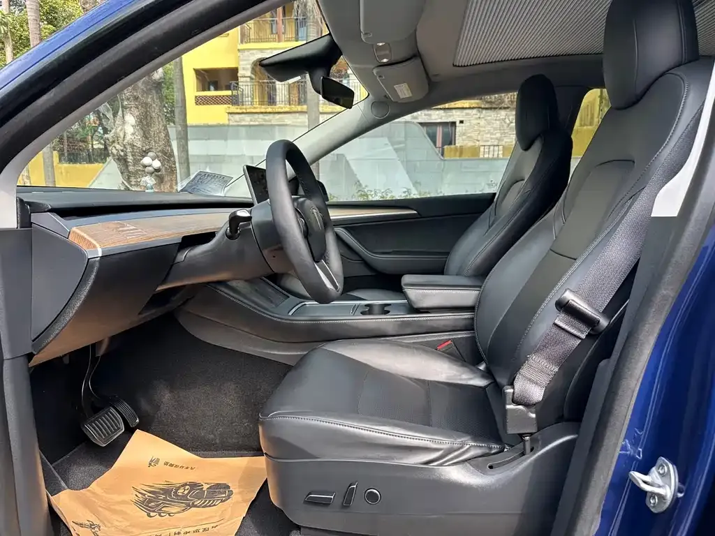 Tesla Model Y — фото 2