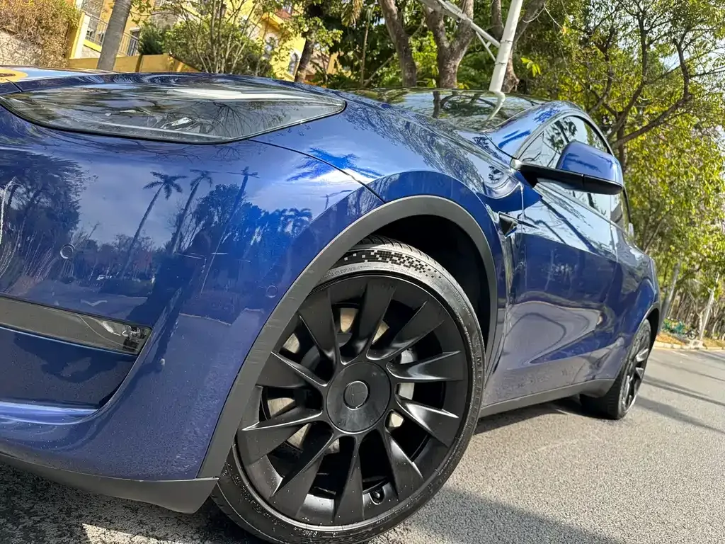 Tesla Model Y — фото 8