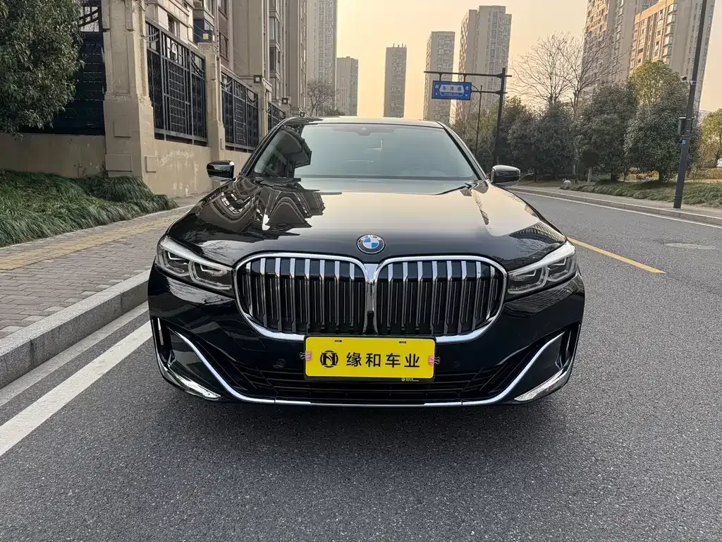 BMW 7 Series 2021 из CN, фото 2