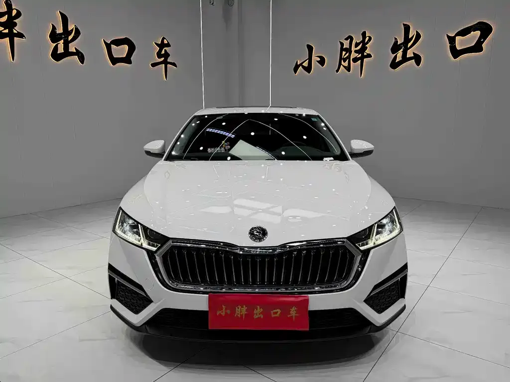 Skoda Octavia 2021 из CN, фото 7