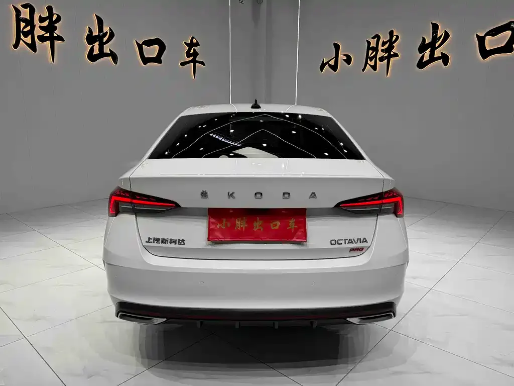 Skoda Octavia 2021 из CN, фото 3