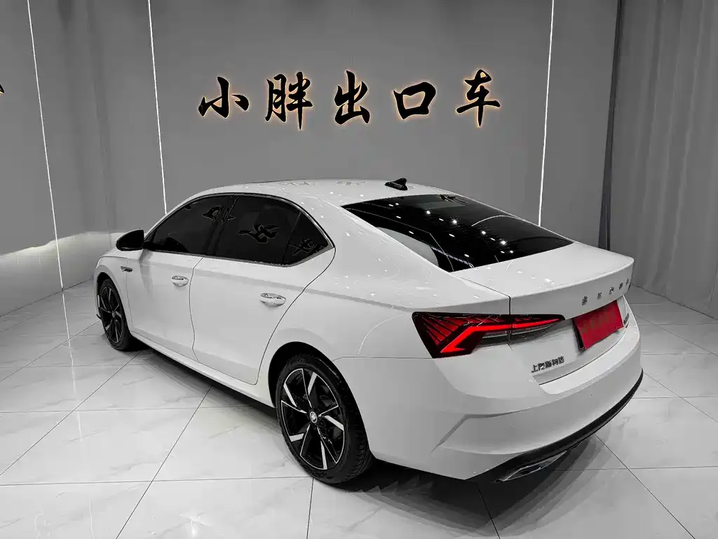 Skoda Octavia 2021 из CN, фото 2