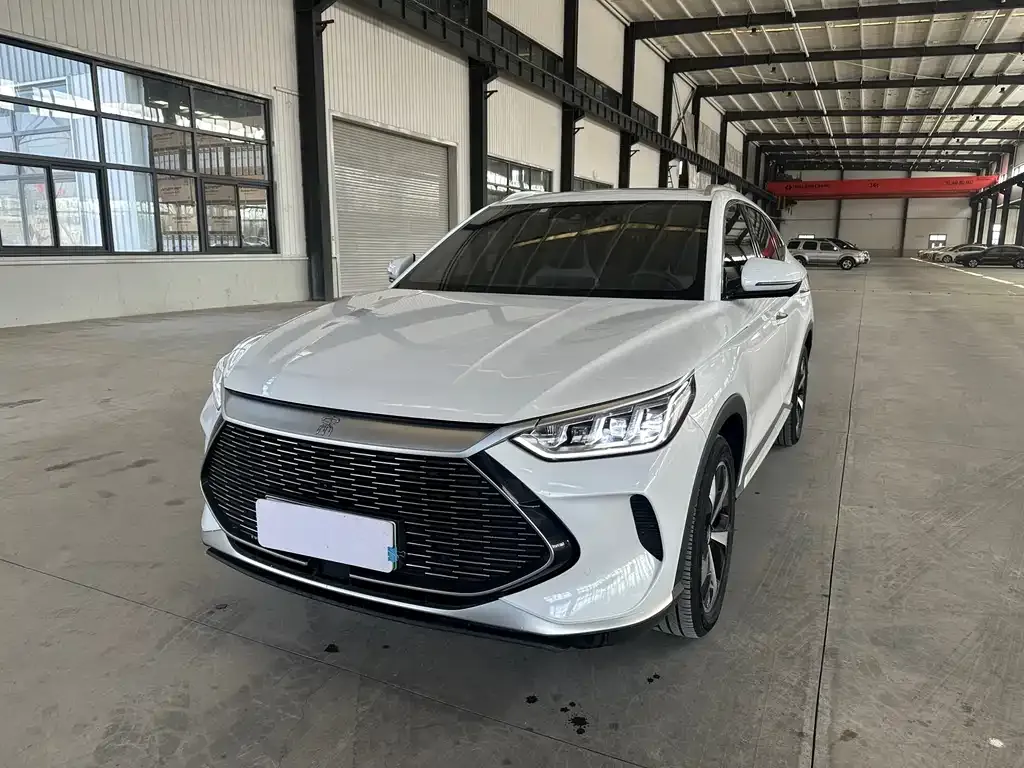 BYD PLUS New Energy — фото 1
