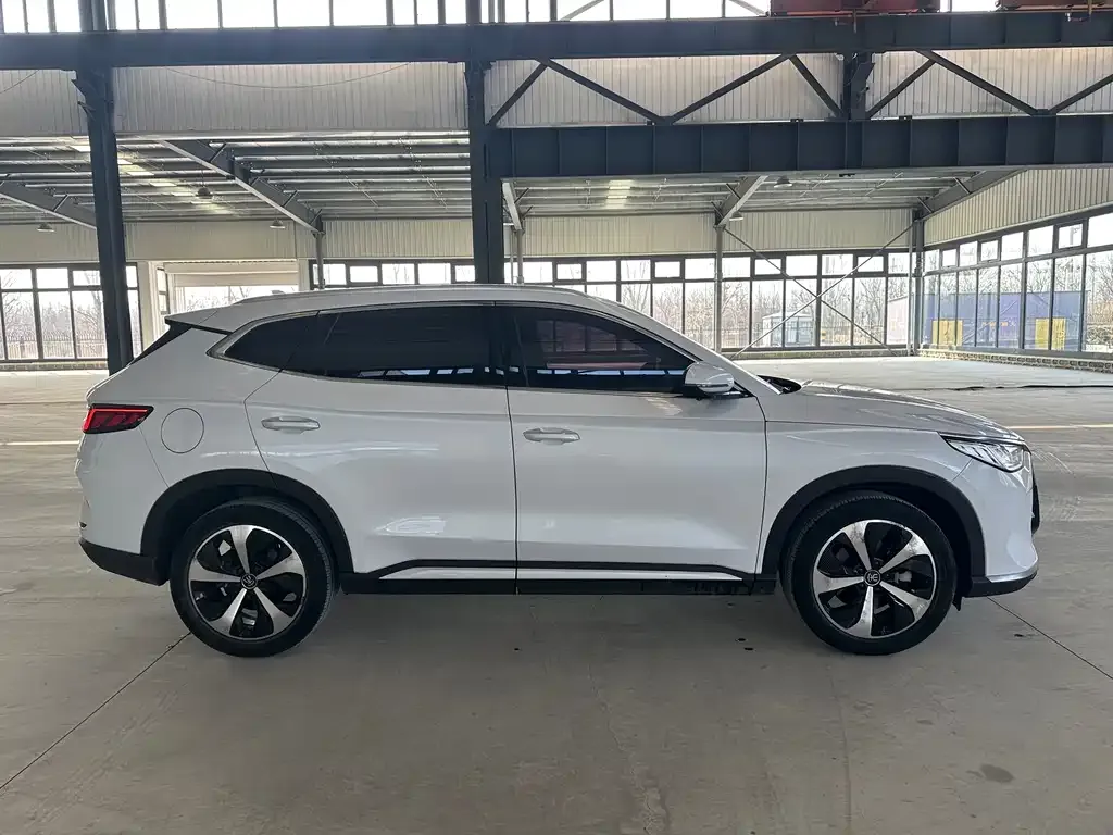 BYD PLUS New Energy — фото 7