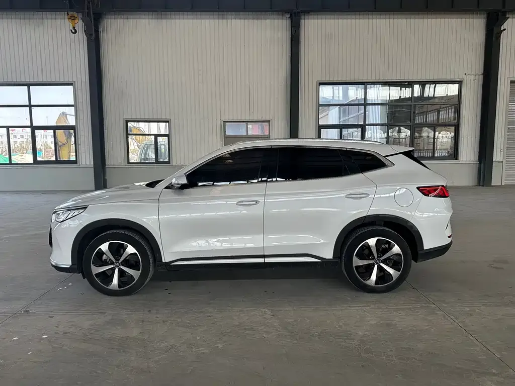 BYD PLUS New Energy — фото 4