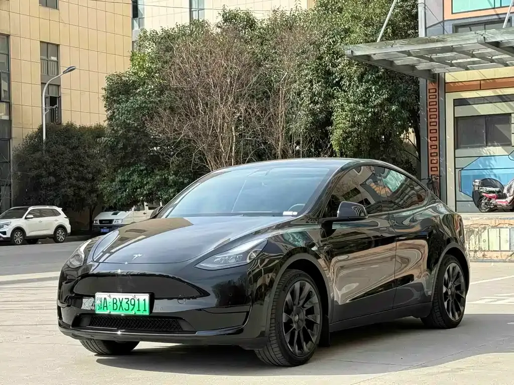 Tesla Model Y — фото 1