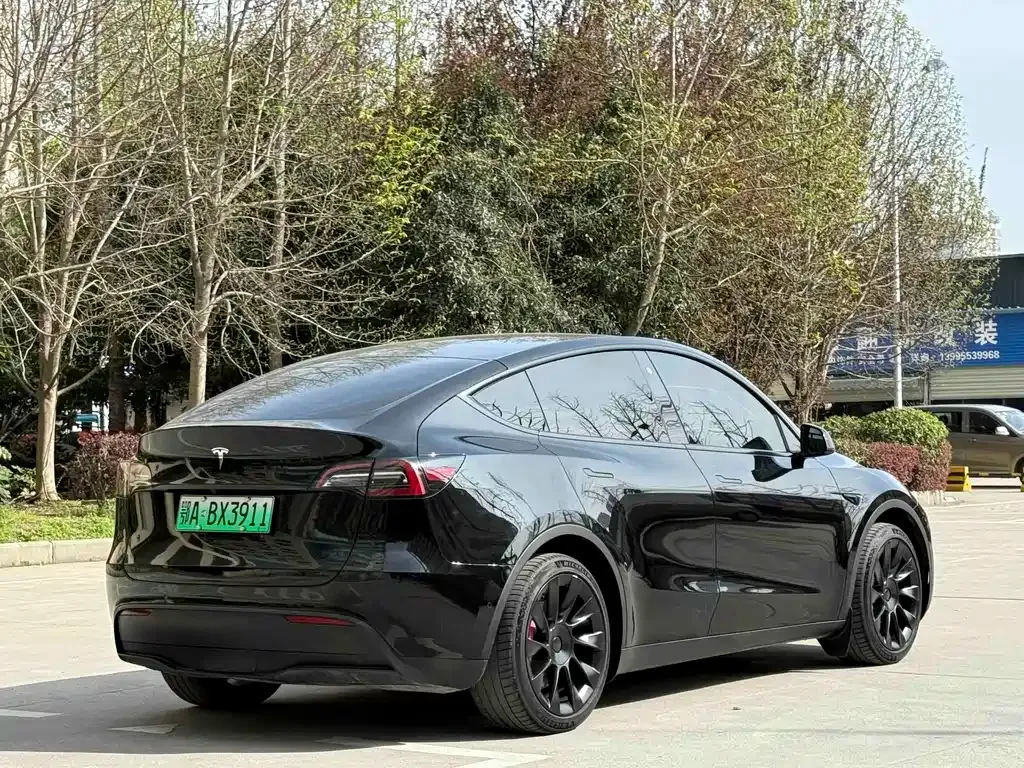 Tesla Model Y — фото 10