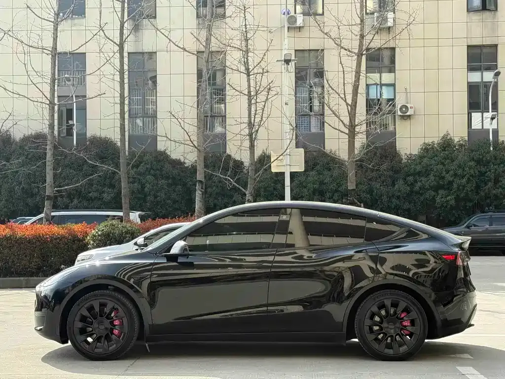 Tesla Model Y — фото 4
