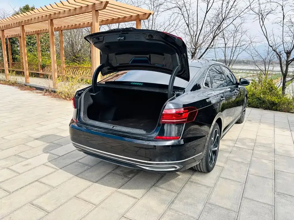 Volkswagen Passat 2024 из CN, фото 5