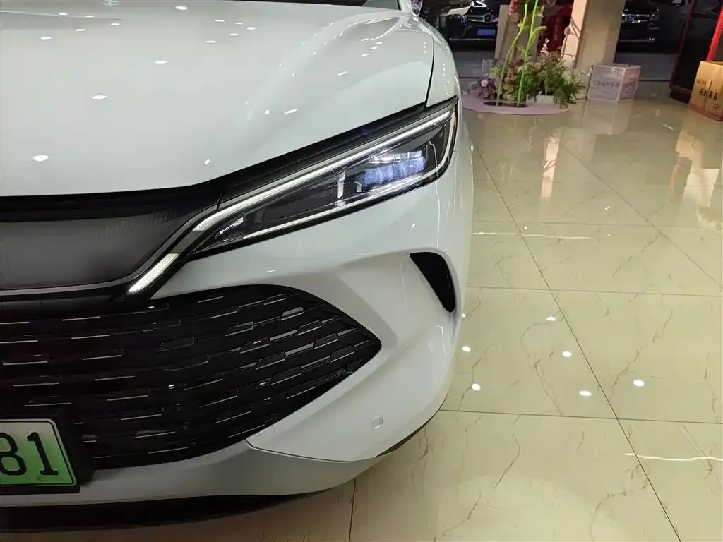 BYD L DM-i — фото 3