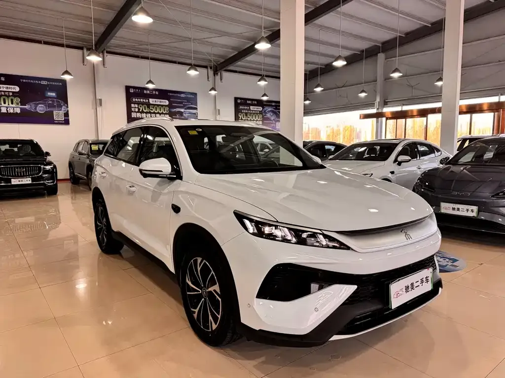 BYD Pro New Energy — фото 6