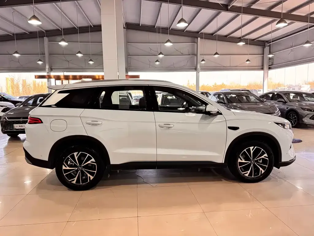 BYD Pro New Energy — фото 7