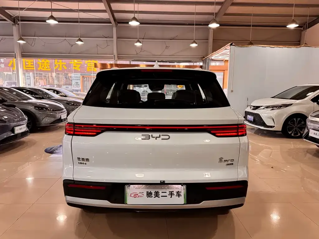 BYD Pro New Energy — фото 10