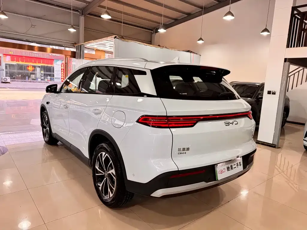 BYD Pro New Energy — фото 9