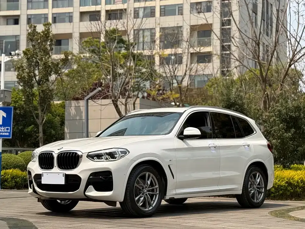 BMW X3 — фото 1
