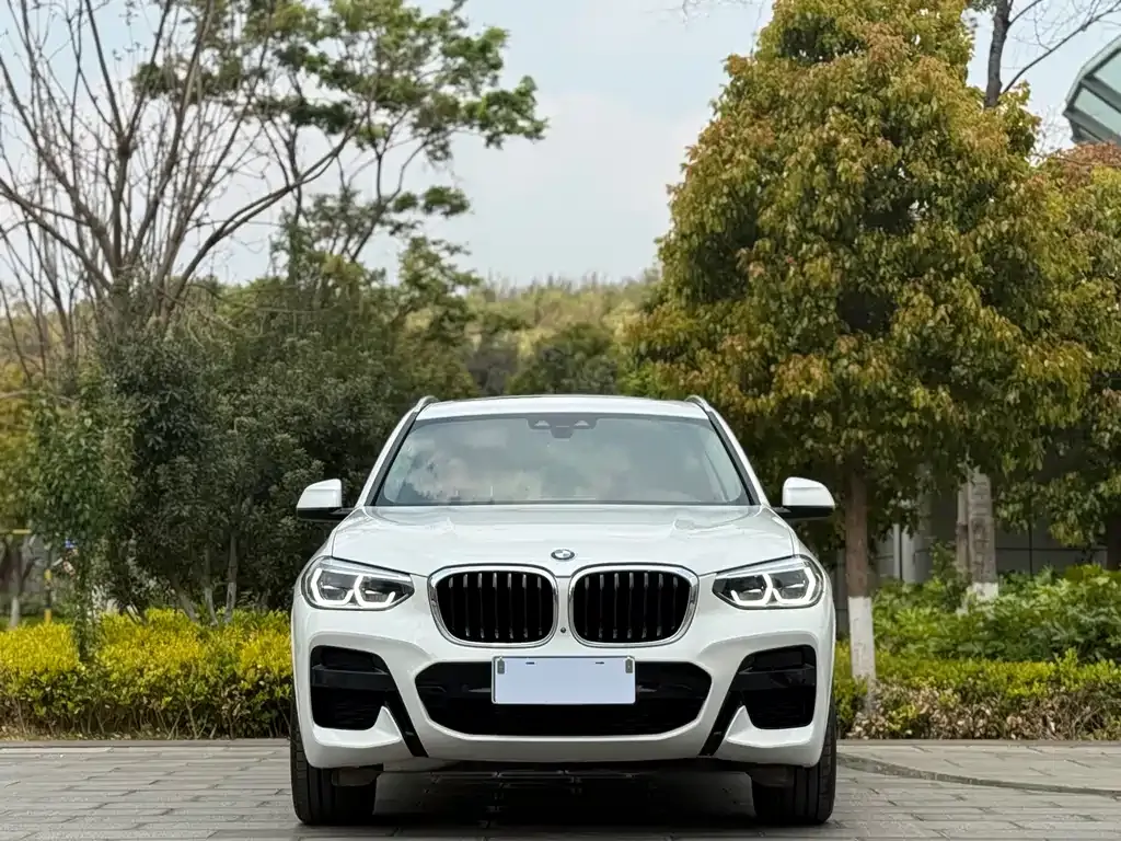 BMW X3 — фото 10