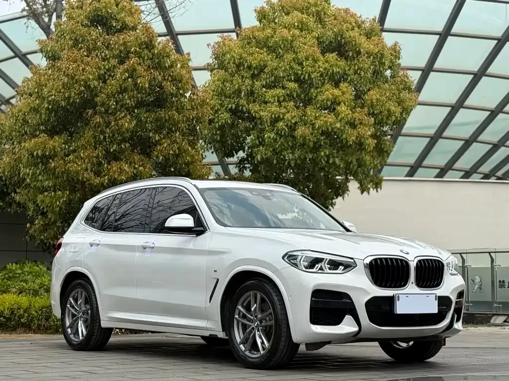 BMW X3 — фото 8