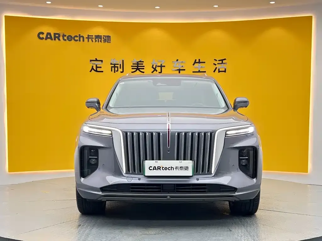 Hongqi E-HS9 2023 из CN, фото 2