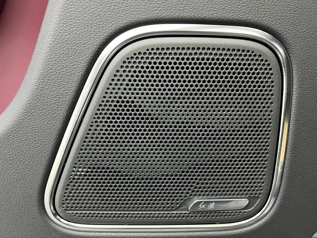 Hongqi E-HS9 2023 из CN, фото 9