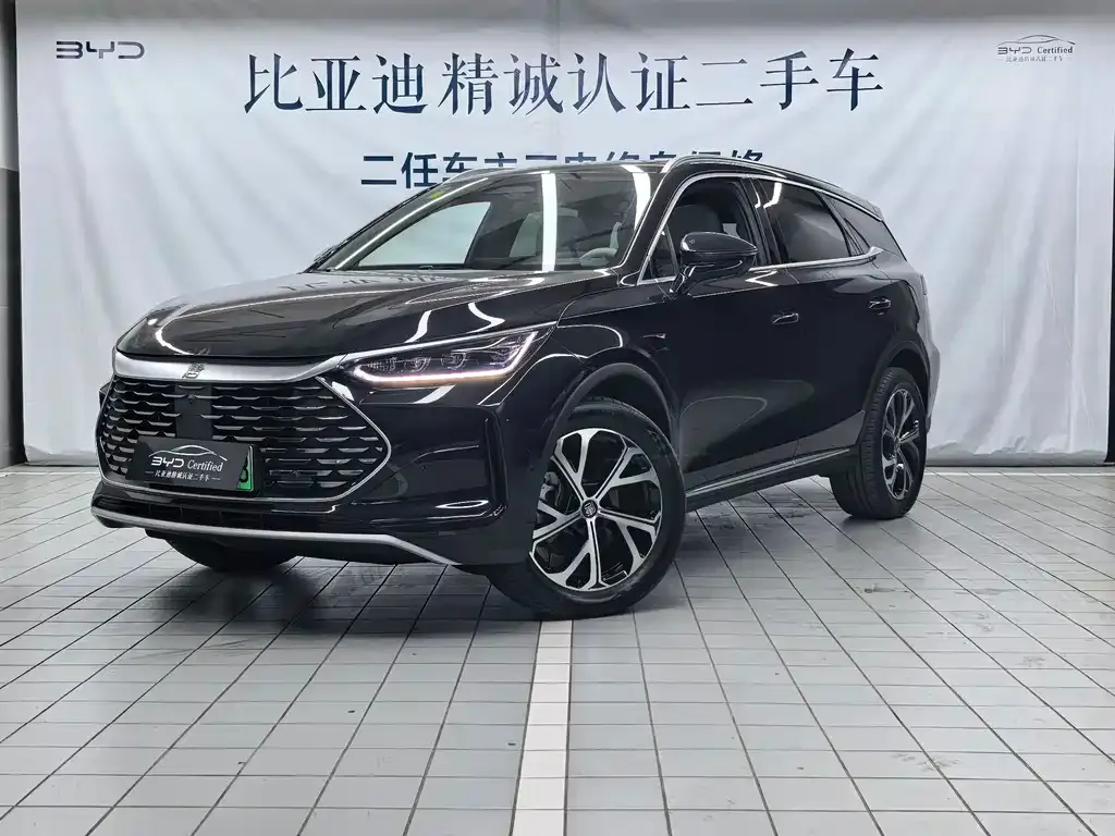 BYD Tang New Energy — фото 1