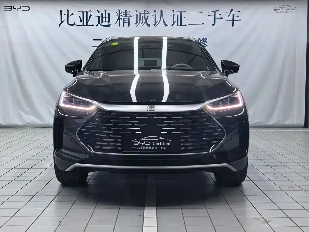 BYD Tang New Energy — фото 10