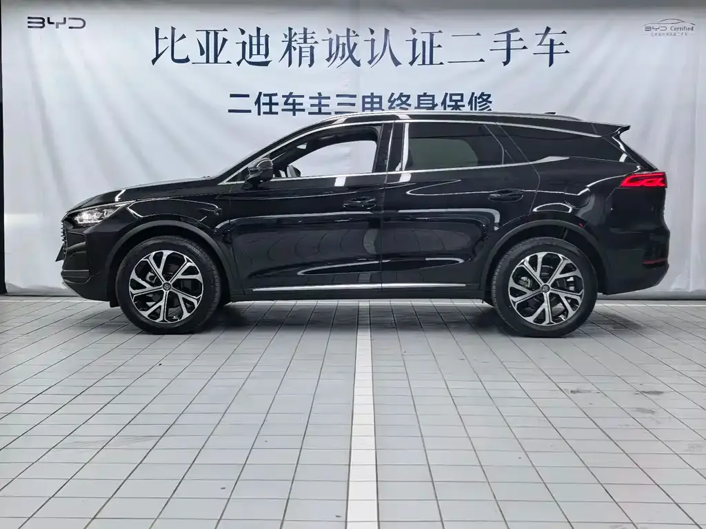 BYD Tang New Energy — фото 4