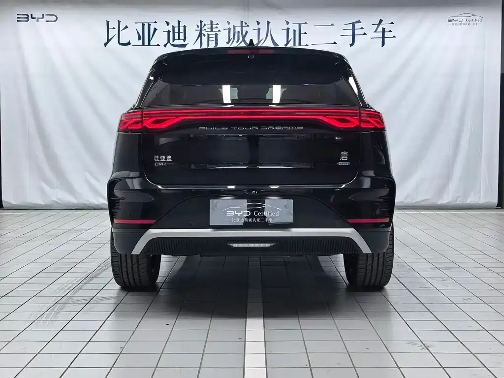 BYD Tang New Energy — фото 8
