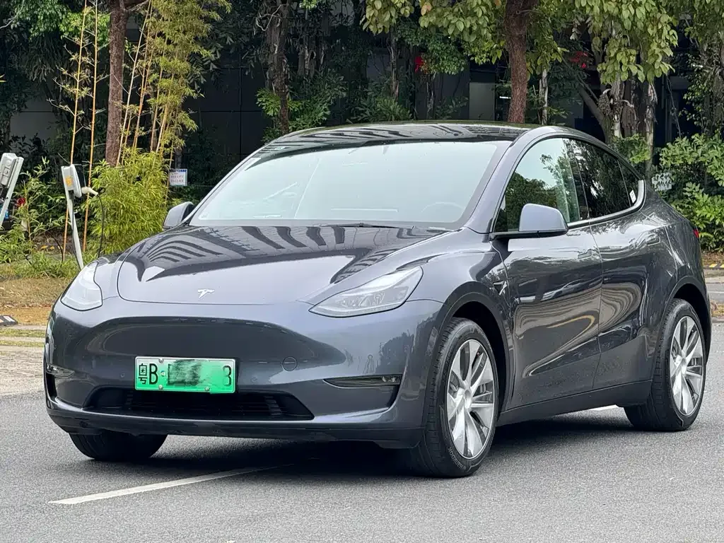 Tesla Model Y — фото 1
