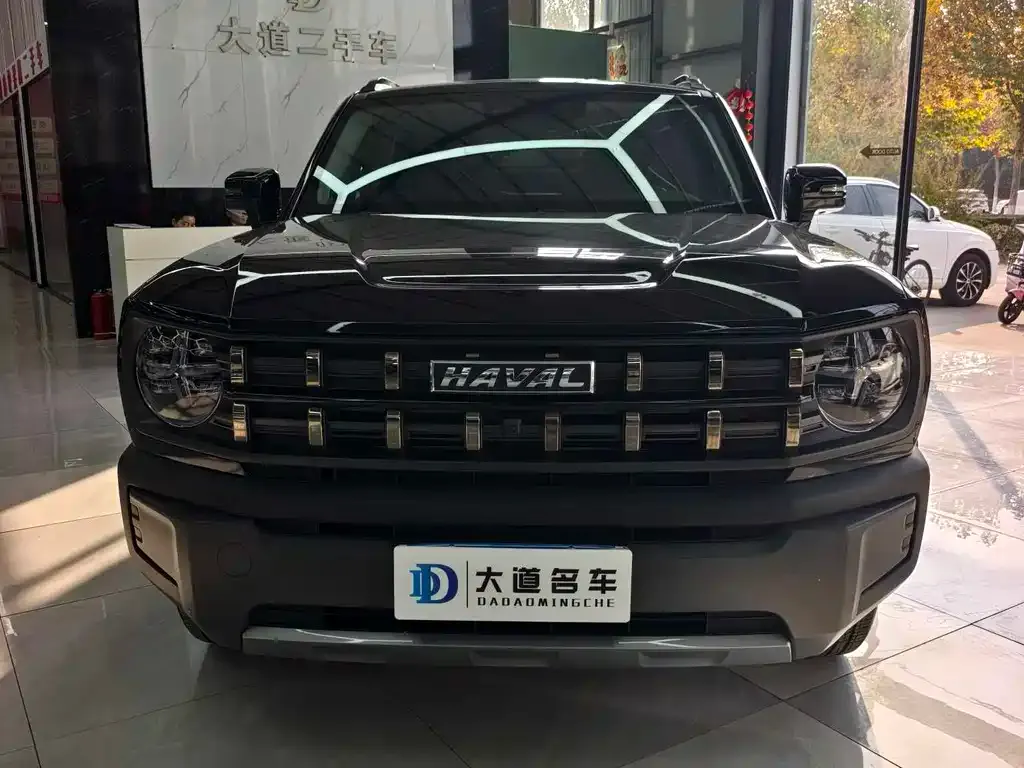 Haval Cool Dog 2023 из CN, фото 5