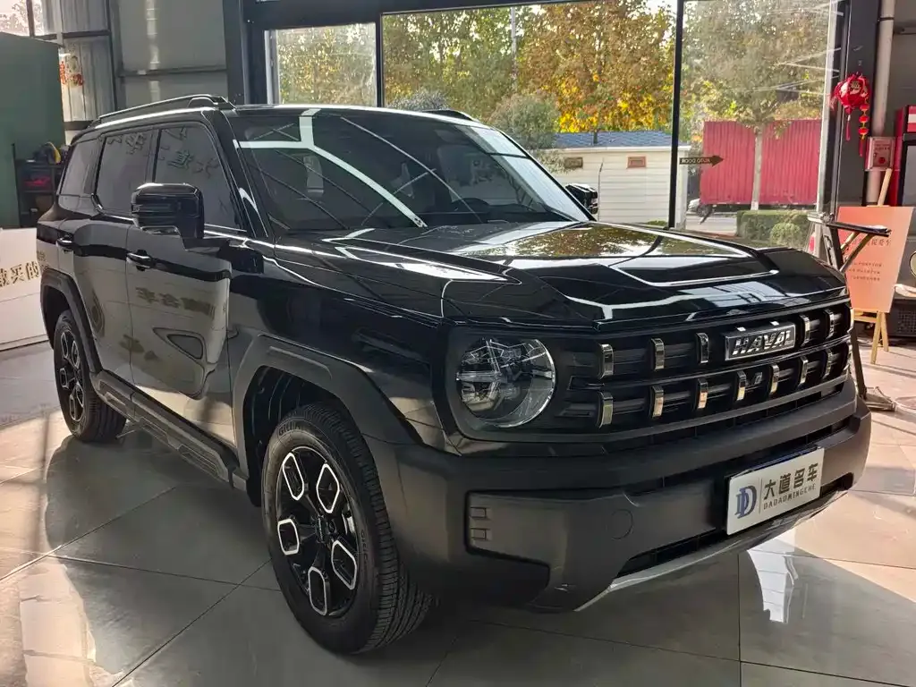 Haval Cool Dog 2023 из CN, фото 6