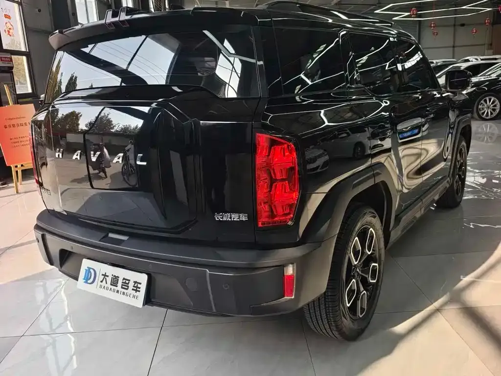 Haval Cool Dog 2023 из CN, фото 4