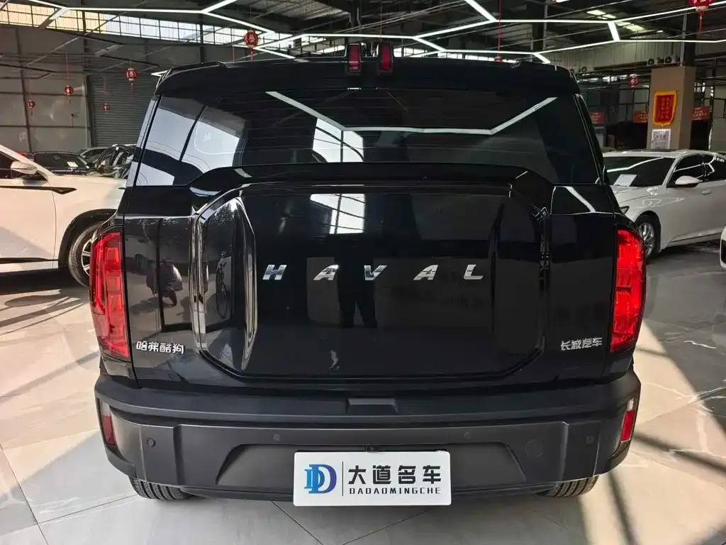 Haval Cool Dog 2023 из CN, фото 8