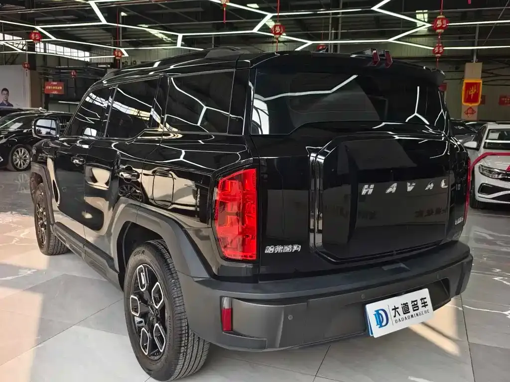 Haval Cool Dog 2023 из CN, фото 9
