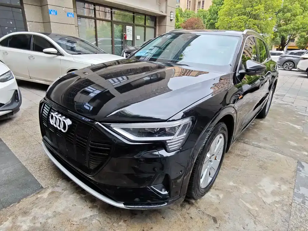 Audi e-tron (Import) 2021 из CN, фото 1
