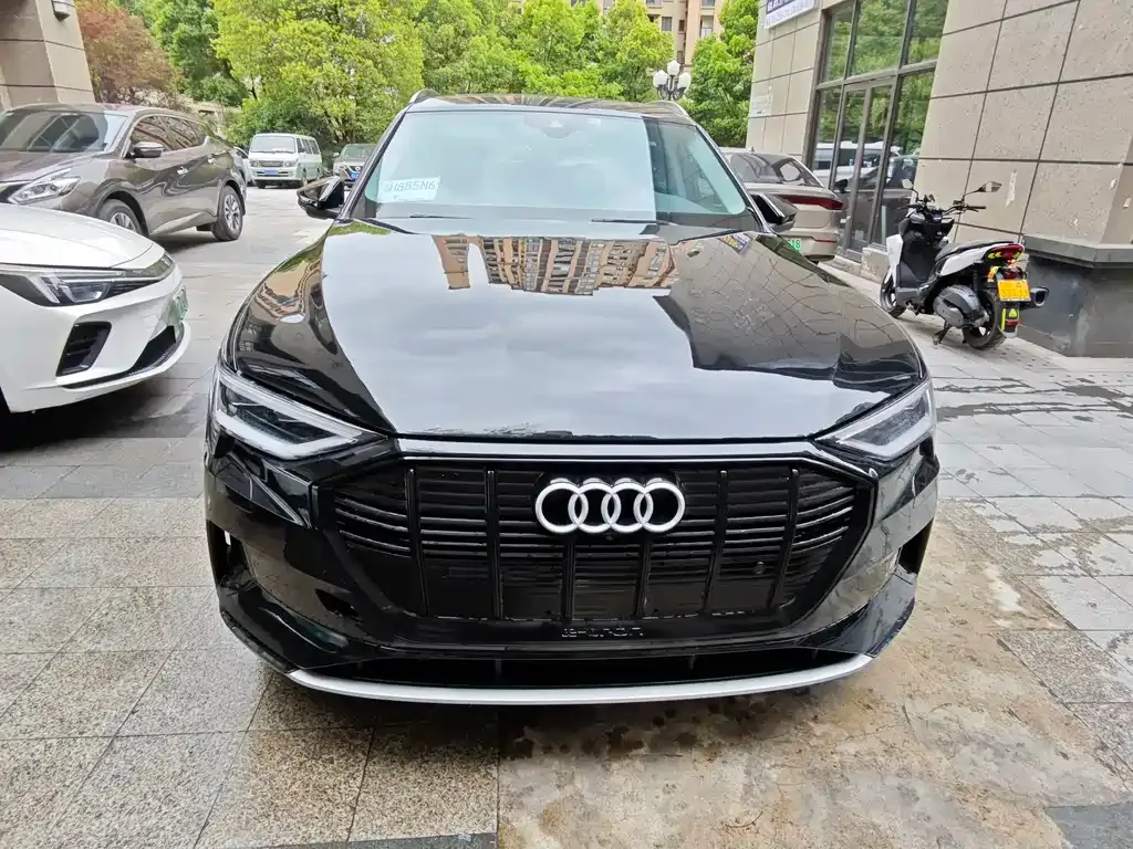 Audi e-tron (Import) 2021 из CN, фото 3