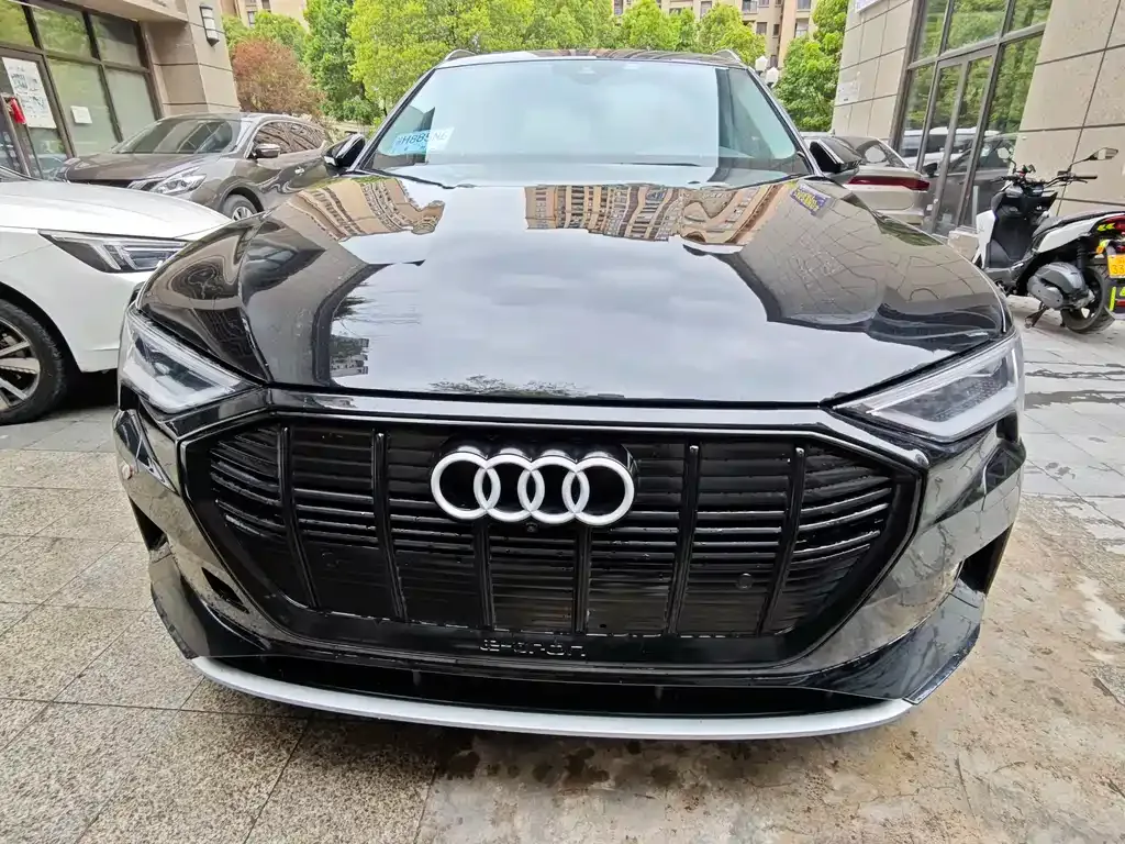 Audi e-tron (Import) 2021 из CN, фото 9