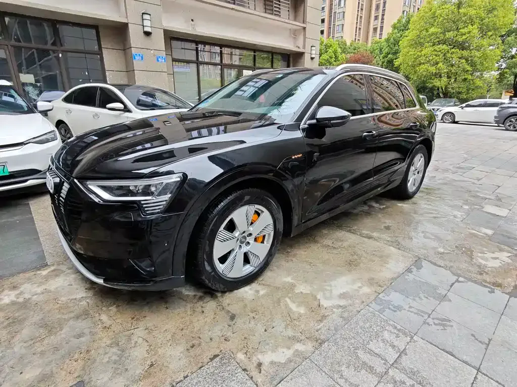 Audi e-tron (Import) 2021 из CN, фото 7