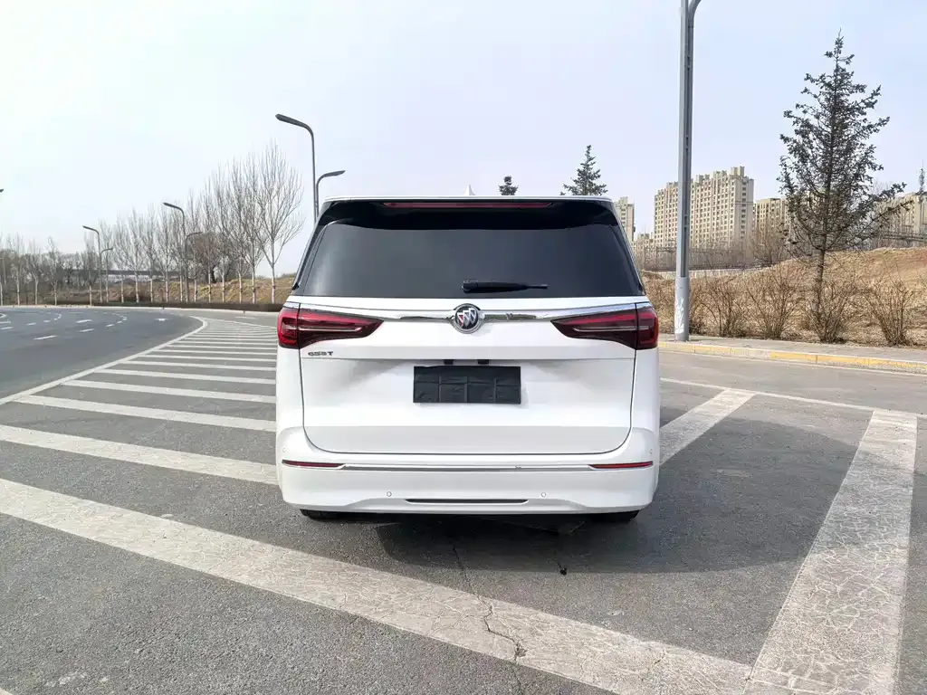 Buick GL8 2022 из CN, фото 8