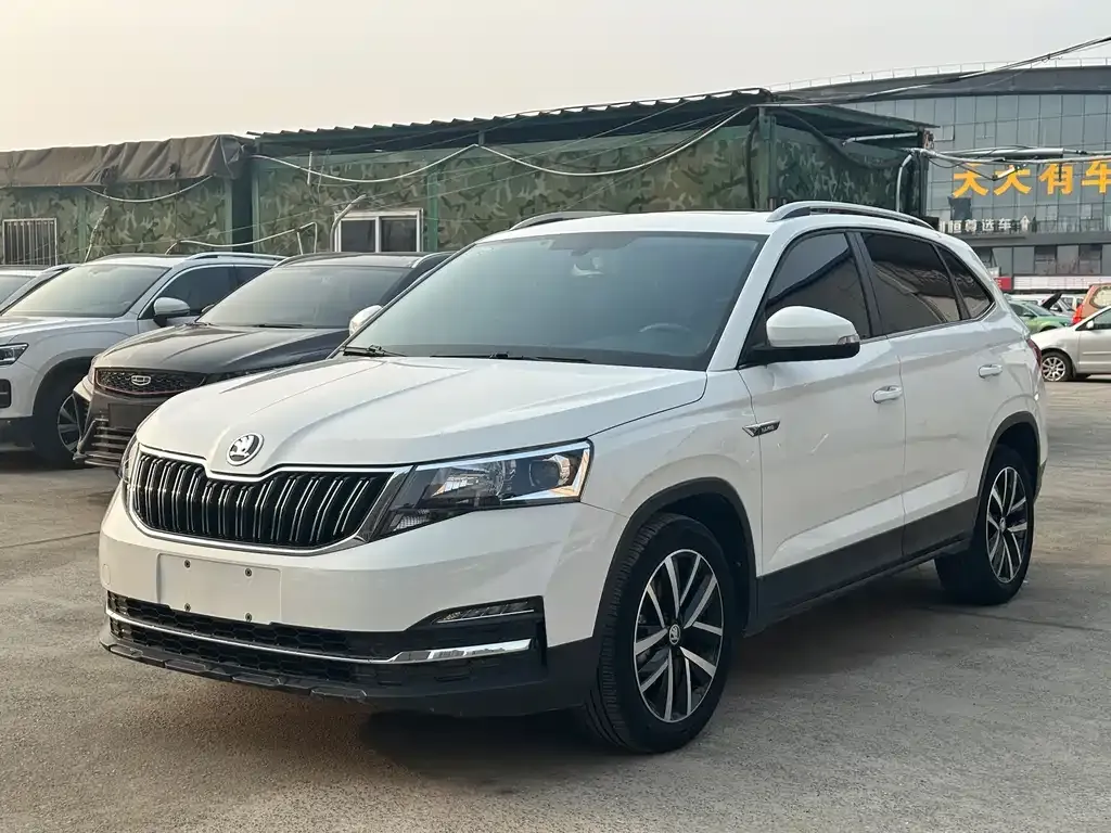 Skoda Kamiq 2023 из CN, фото 1
