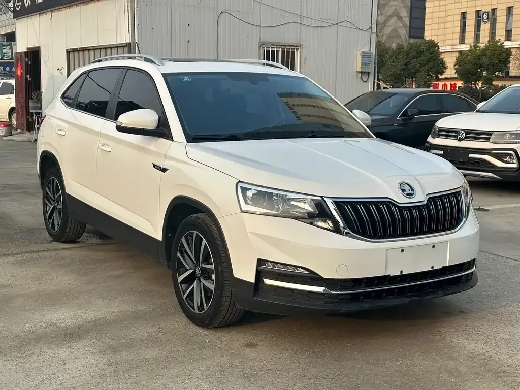Skoda Kamiq 2023 из CN, фото 4