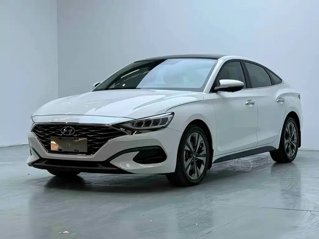 Hyundai Fista — фото 1