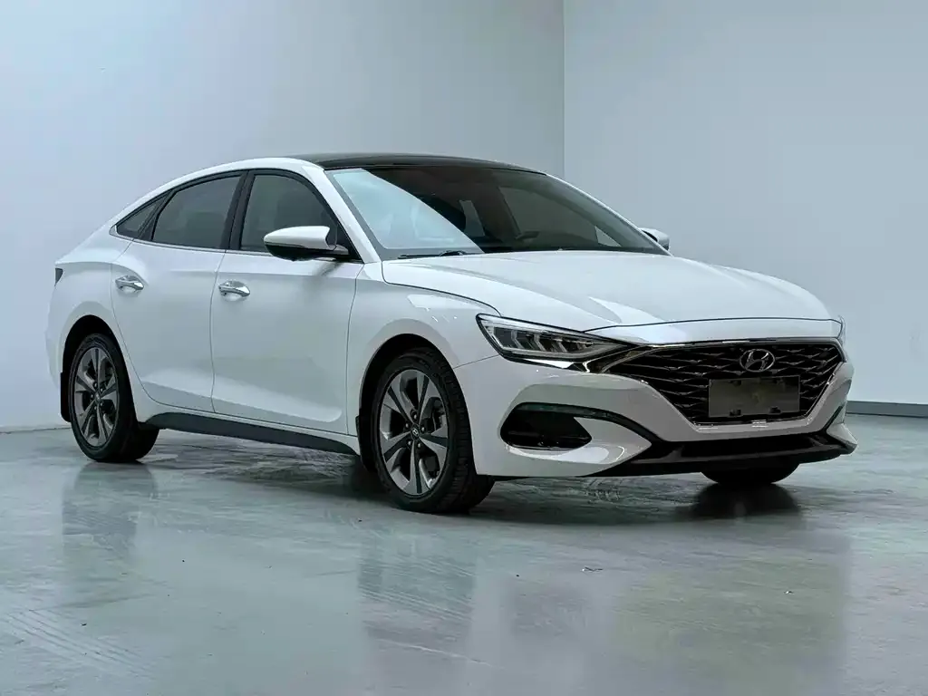 Hyundai Fista — фото 9