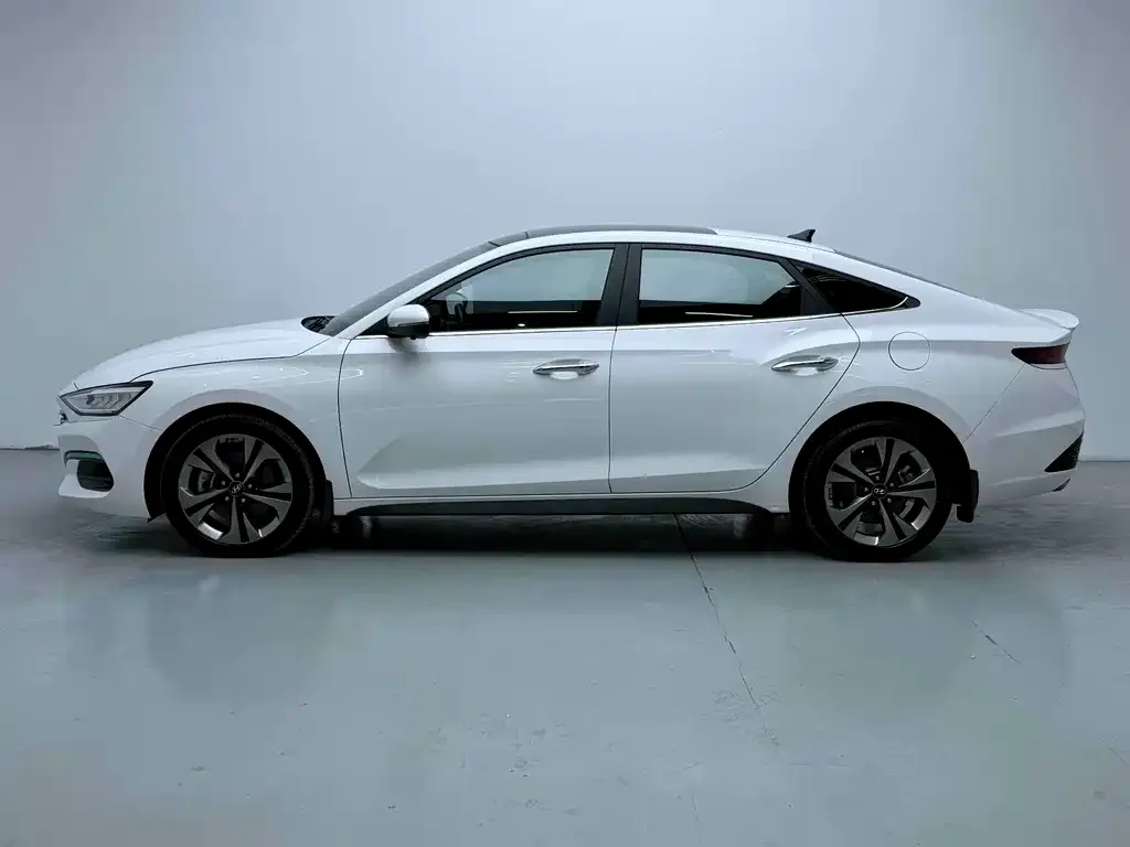 Hyundai Fista — фото 2