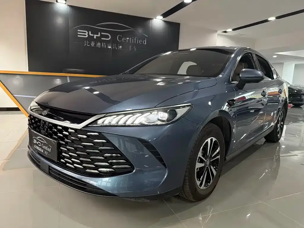 BYD Qin PLUS 2025 из CN, фото 1