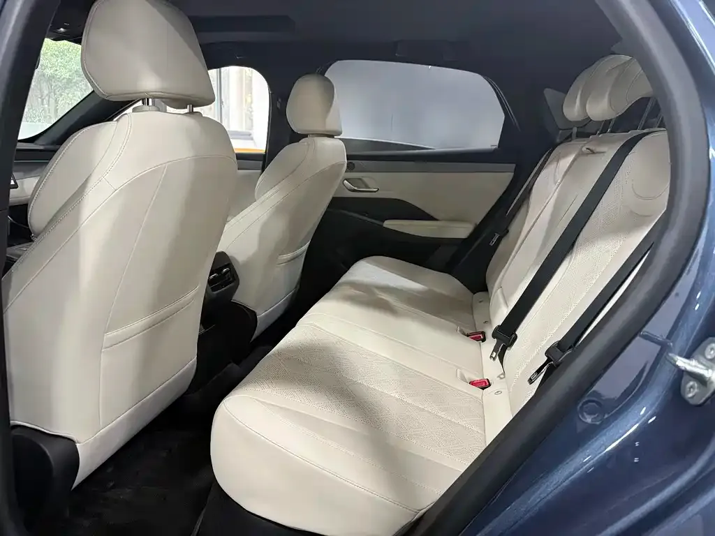 BYD Qin PLUS 2025 из CN, фото 2