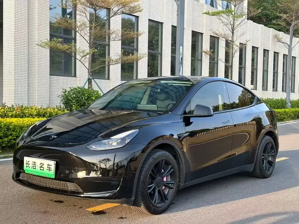 Tesla Model Y — фото 1