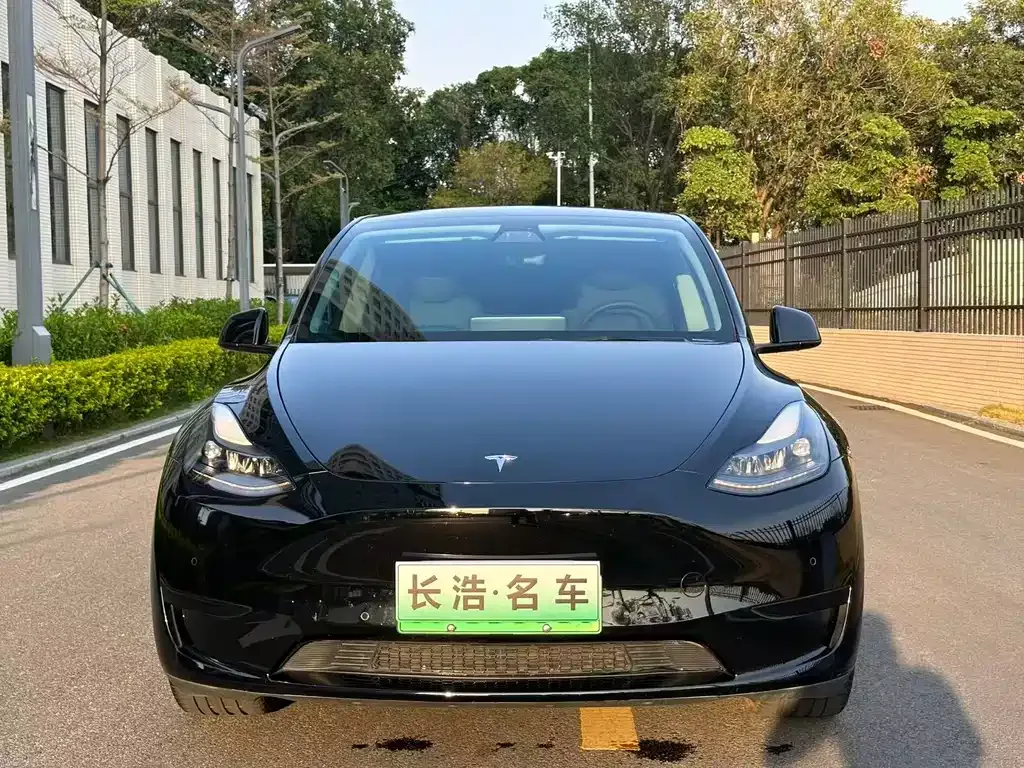 Tesla Model Y — фото 3